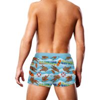 Prowler Bañador - Gaywatch Bears, imagen 2