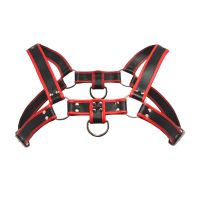 XR Brands Arnés Bulldog, imagen 4