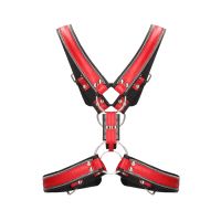 Ouch! Z Series Scottish Harness, imagen 6