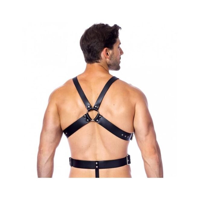 Adjustable Leather Harness & Rings